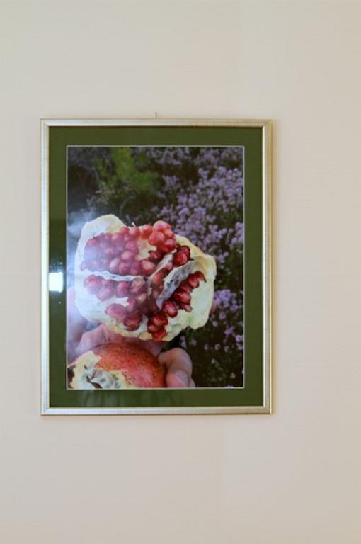 Apartment Calluna スプリト 部屋 写真